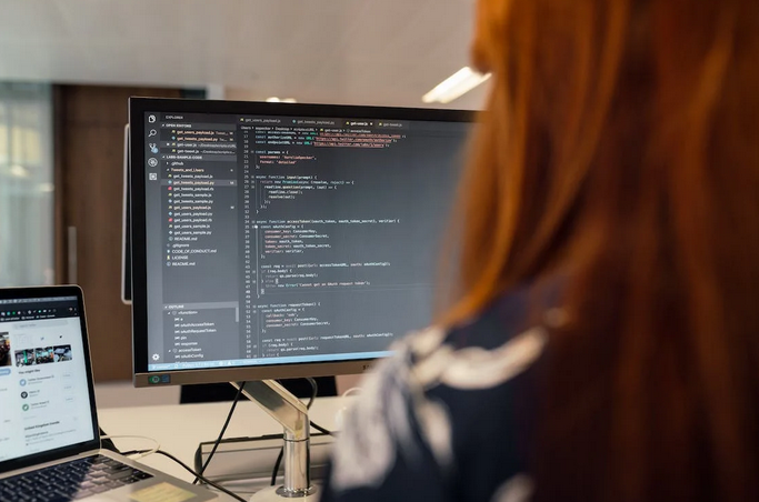 software developer